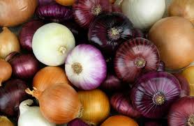 Onion 